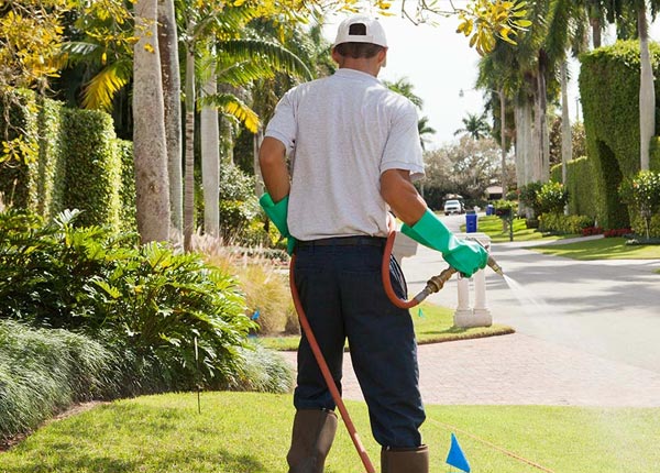 About West Ossipee NH Pest Control